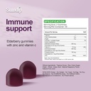 Elderberry Gummies with Zinc and Vitamin C Immune Support Herbal Dietary Supplements Berry Flavor Vegan Gummy Non-GMO Gluten Free 60 Gummies-2 Pack 4