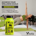 Berberine Supplement 500mg - USA Made Berberine 500mg - Non-GMO Berberine HCL - Berberine Supplements for Weight Management, Energy, Immune Support - 60 Capsules 4