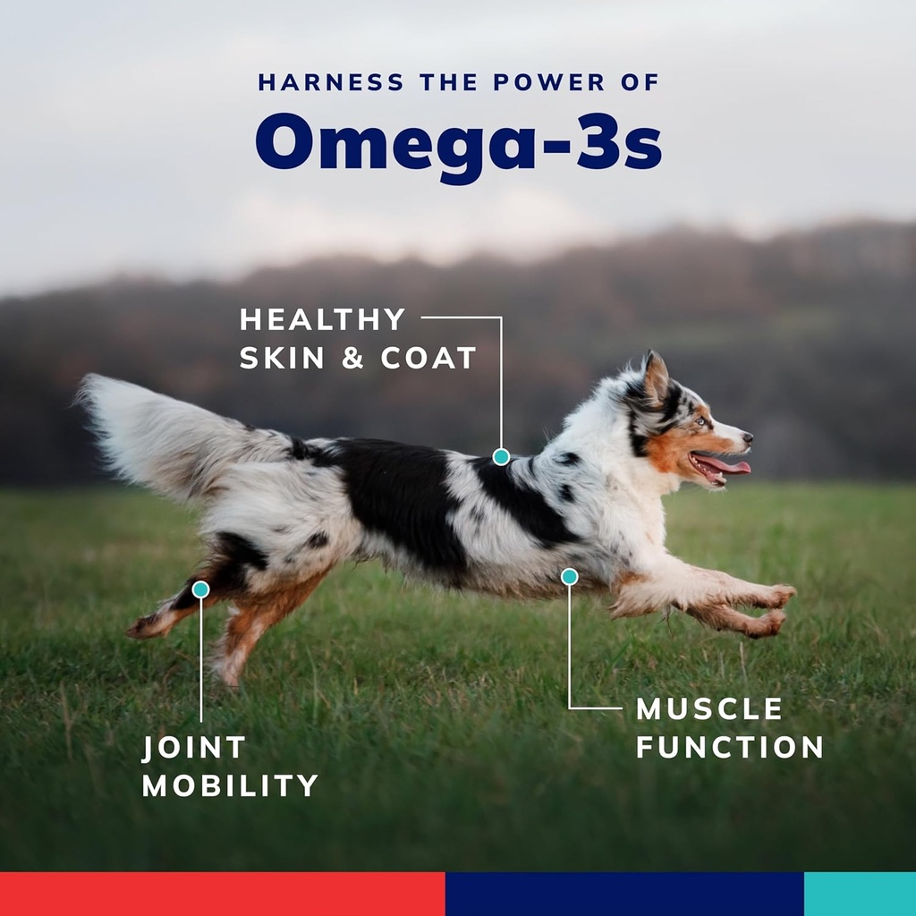 Omega-3 and Vitamin Supplement Softgel Capsules Medium Dog, 31-60 lbs 60 ct 6