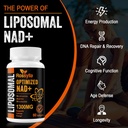 1300 MG Liposomal NAD+ Supplement | Highest Absorption | Purest NAD Supplemet to Boost NAD+ Effetively | Boosting NAD+ Supplement for Aging Defese, Cellular Energy, Longevity | 480 Count 6