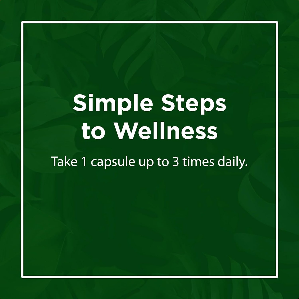 Flora Daily Maintenance Digestive Enzymes - Contains 7 Enzymes for Digestive Health Support - Aids Gas & Bloating - Non-GMO & Gluten-Free - 60 Vegetarian Capsules 6