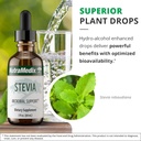 NutraMedix Sweet Leaf Stevia Liquid Drops - Sugar Free Sweetener from Pure Stevia Leaf Extract for Microbial Support - Low Carb, No Added Sugar (2 oz / 60 ml) 6