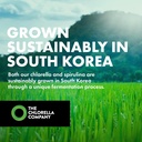 Fermented Chlorella Tablets, Chlorophyll, Green Superfood, Algae Supplement, Heavy Metal Detox, Immune Support, Broken Cell Wall, 1350 Tablets, Non-GMO, Vegan 4