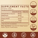 Ubiquinol CoQ10 600 MG Softgels with Omega-3 & Shilajit & PQQ, Advanced Dual-Delivery Coenzyme-Q10, Active CoQ10 Ubiquinol Supplement for Fertility, Antioxidant, Heart, Brain & Energy, 120 Servings 3