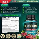 Satoomi 25in1 Berberine Supplement - Berberine Hcl - Ceylon Cinnamon - Milk Thistle and More 3