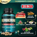 Satoomi 25in1 Berberine Supplement - Berberine Hcl - Ceylon Cinnamon - Milk Thistle and More 4