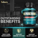 Satoomi 25in1 Berberine Supplement - Berberine Hcl - Ceylon Cinnamon - Milk Thistle and More 6