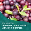 PURE ESSENCE LABS Whole-C Whole Food Vitamin C - Best Immune Support - Organic & Nature Vitamins - Immunity Booster & Dietary Supplements (30 Tablets) 5