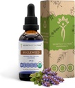 Bugleweed USDA Organic | Alcohol-FREE Extract, High-Potency Herbal Drops, Respiratory System | Made from 100% Certified Organic Bugleweed (Ze Lan, Lycopus Virginicus) Dried Herb 2 oz 2