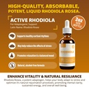 Active Rhodiola - Rhodiola Root Extract with Natural Rosavins - Liquid Delivery for Better Absorption - Supports Energy & Stress 4