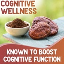 Reishi Mushroom Capsules - 180 Count Red Reishi Mushroom Capsules - 3 Month Supply Real Mushrooms Reishi Supplement Pills for Cognitive and Immune Boost - Mushroom Reishi Hongo Reishi Organico 4