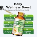 Liposomal Glutathione Supplement 2000mg, Liquid Glutathione Drops with Vitamin C, Master Antioxidants for Immune System, Aging Defense, Skin Headth, Liver Detox - Superior Absorption, Vegan 2 Fl Oz 5