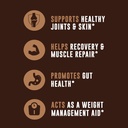 Bone Broth Protein Powder, Chocolate, Grass Fed 2lbs, 42 servings 16g protein, 13g Collagen. Low Carb, 2 net Carb, Dairy Free, Keto Friendly Bone Broth Protein Supplement with Collagen Types I & III 5