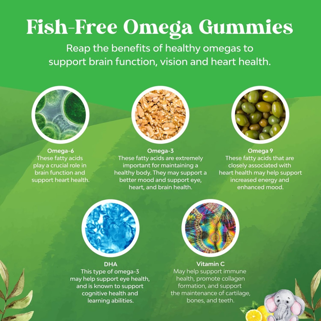 Kids DHA Omega 3 Gummies for Kids - Delicious Fish Free DHA Omega 3 Gummies with Vegetarian 6 9 for Vision Brain & Immunity - Non GMO Supplement Fish & Gluten Free 1 Month 6
