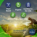 Turmeric & Ginger Capsules 1000mg | Organic Herbal Supplement | 120 Capsules 4