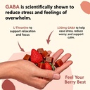 PYM Berry Mood Chews Support for Stress, Worry & Overwhelm, 20 Count | 130mg GABA, 90mg L-Theanine | Vegan, Non-GMO, Gluten-Free, No Added Sugar | All-Natural Mood Balance Supplement Made in USA 6