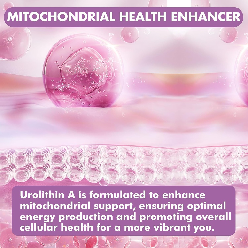 Well&Whole Urolithin A Gummies 1000mg with CoQ10 and Resveratrol, Mitochondrial Supplements, Muscle Support, Non GMO, Vegan, 60 Counts 4