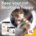 FELO LYSINE - L-Lysine Powder for Cats 300 mg (Thomas Pet Earlier), 1 Kg or 2.2 lb 5