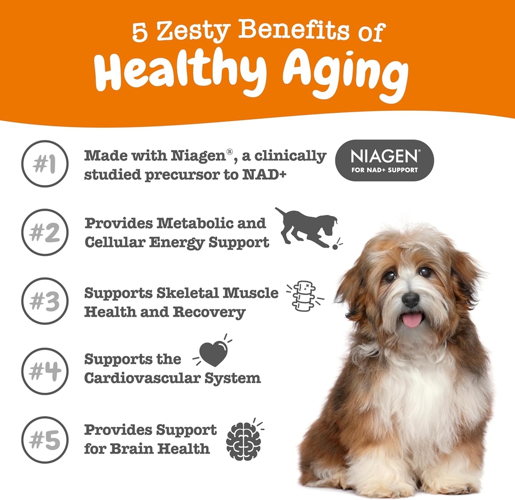 Zesty Paws NAD+ Precursor Supplement for Dogs - Niagen for Healthy Aging & Skeletal Muscle Support & Recovery - Brain, Heart, & Cellular Energy Support - Nicotinamide Riboside Chloride - 60 Capsules 3