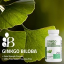Bronson Ginkgo Biloba Extra Strength Supports Brain Function & Memory Support, 250 Vegetarian Capsules 4
