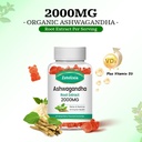 Ashwagandha Gummies, Extra Strength Vitamin D3, Organic Ashwa Root Extract Supplement for Calm Mood Relaxation & Immune Support, Mixed Berry Vegan Sugar Free Chews 60 Count 6