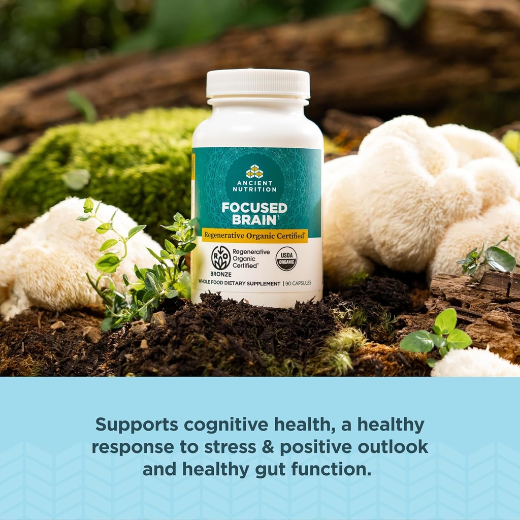 Ancient Nutrition Regenerative Organic Certified Focused Brain Capsules, Made with Ginkgo Leaf, Lion's Mane to Help Reduce Stress, Gluten Free, Paleo and Keto Friendly, 90 Count 4