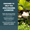 Ancient Nutrition Regenerative Organic Certified Focused Brain Capsules, Made with Ginkgo Leaf, Lion's Mane to Help Reduce Stress, Gluten Free, Paleo and Keto Friendly, 90 Count 5