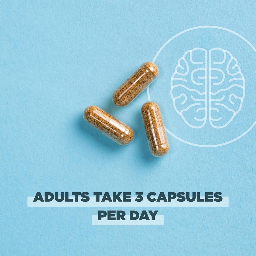 Ancient Nutrition Regenerative Organic Certified Focused Brain Capsules, Made with Ginkgo Leaf, Lion's Mane to Help Reduce Stress, Gluten Free, Paleo and Keto Friendly, 90 Count 6