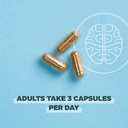 Ancient Nutrition Regenerative Organic Certified Focused Brain Capsules, Made with Ginkgo Leaf, Lion's Mane to Help Reduce Stress, Gluten Free, Paleo and Keto Friendly, 90 Count 6