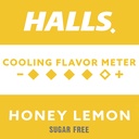 HALLS Relief Honey Lemon Sugar Free Cough Drops, 12 Bags of 25 Drops (300 Total Drops) 6