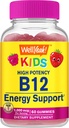 WellYeah Vitamin B12 Gummies for Kids - Boost Energy, Improve Brain Function, and Strengthen Immune System - Non-GMO, Gluten-Free - Great Tasting Berry Flavor - Easy to Chew - 60 Gummies 2