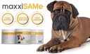 maxxipaws SAM-e UTI Bundle – maxxiSAMe Advanced SAM-e Support for Dogs & maxxiUtract Canine Urinary and Bladder Supplement 3