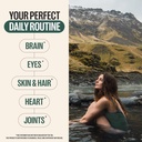 Orlo Omega 3 – Vegan Omega-3 Supplement (EPA & DHA) – Extra Strength Fish Oil & Krill Alternative from Algae Oil (120 Mini Burpless Softgels Kit) 4