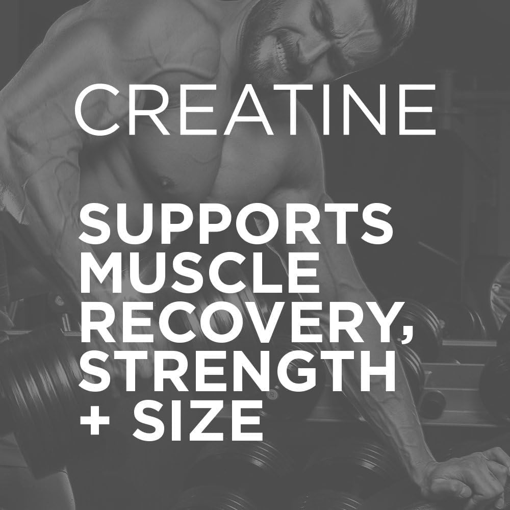 Purbolics Creapure Creatine Monohydrate, Micronized Creatine 5g, Elevate Workout Performance and Recovery, Build Strength, Enhance Pumps (50 Servings, Rainbow Candy) 4