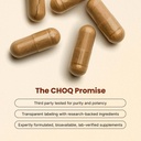 CHOQ® Shilajit - Over 50% Fulvic Acid, 500 mg Vegan Capsules, Energy, Brain, Focus, Collagen, Hormones, Mitochondrial Function, Urolithin A, Lab-Tested 3