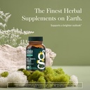 Gaia Herbs St. John's Wort - Natural Stress Support Supplement - with St. John's Wort - 60 Vegan Capsules (20-Day Supply) 3