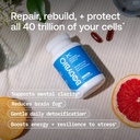 BodyBio PC - Phosphatidylcholine for Brain Health, Mental Clarity, Cognitive Function, Cellular Repair & Healthy Aging, Phospholipid Complex Supplement for Gentle Daily Detox 4