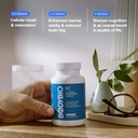 BodyBio PC - Phosphatidylcholine for Brain Health, Mental Clarity, Cognitive Function, Cellular Repair & Healthy Aging, Phospholipid Complex Supplement for Gentle Daily Detox 6