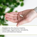 Youngevity Ultimate Gluco-Gel -for Joints, Tendons, Bones & Cartilage | Contains Glucosamine, Gelatin & Manganese | 2 Bottles 5