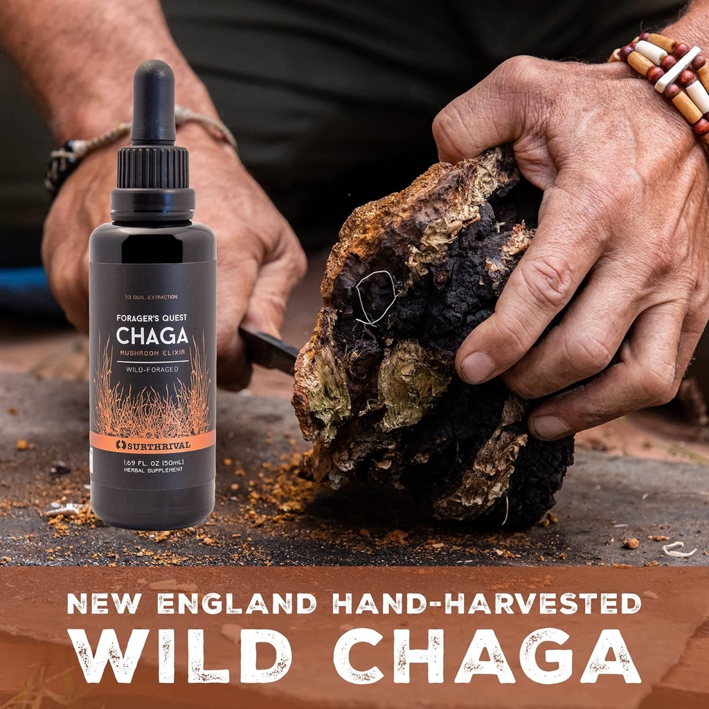 Surthrival: Chaga Mushroom Extract Forager's Quest, 50 mL, Featuring Nature’s Immune-Boosting, Anti-Viral, Anti-Fungal Medicinal Mushroom 5