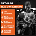 2000mg Liposomal Phosphatidic Acid Muscle Builder (PA), High Absorption Muscle Building Supplements for Men & Women | Muscle Gainer, mTOR Protein Synthesis & Lean Muscle, Strength, 6 Pack 6