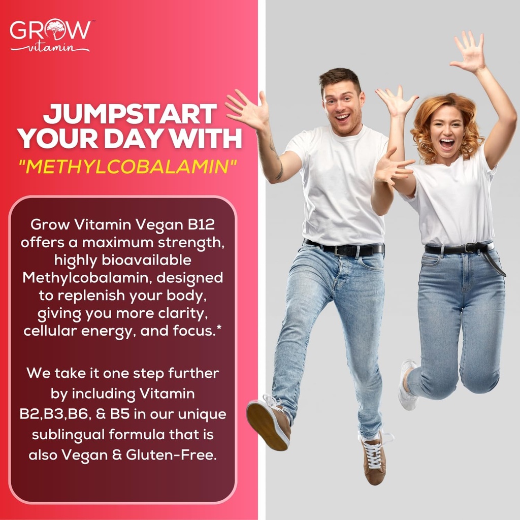 Vegan B12 Complex Liquid Sublingual Drops - Premium Methylcobalamin Supplement for Stronger Hair Skin & Nails Vitamin b12 b6 b5 b3 & b2 Natural Energy Boost, Immune System & Mental Focus Support 3