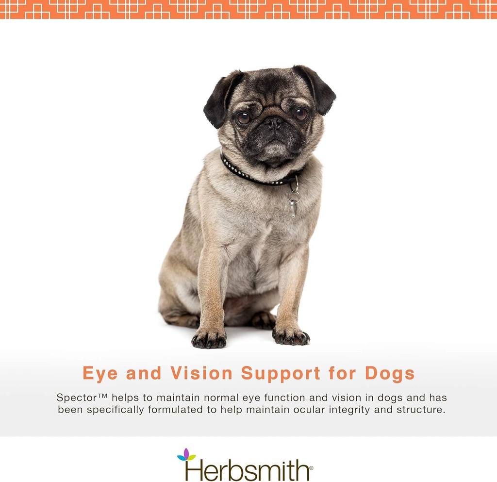 Herbsmith Spector - Eye & Vision Support for Dogs - Repair Greying Eyes - Senior Supplement for Dogs - Antioxidant for Dogs - 60Ct Large Chews 3