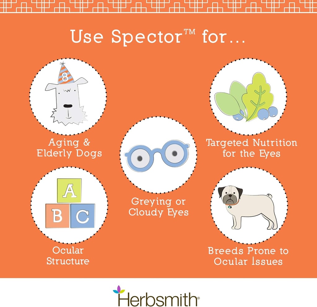 Herbsmith Spector - Eye & Vision Support for Dogs - Repair Greying Eyes - Senior Supplement for Dogs - Antioxidant for Dogs - 60Ct Large Chews 6
