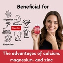 Calcium Gummies + Magnesium & Zinc with Vitamin D3 & K2, High Absorption Calcium Supplement for Bone, Teeth & Immune Support, Non GMO, Vegan, 120 Count 3