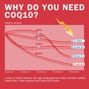 NYO3 CoQ10 120mg with BioPerine(Black Pepper), Coenzyme Q10 with Vitamins E, Ultra High Absorption Antioxidant Support for Heart Health, Gluten Free, 30 Days Supply 6