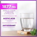 Apple Cider Vinegar Capsules 1877mg - Extra Strength ACV Pills with Vitamin D3 & Zinc - Apple Vinegar Pills Supplement for Digestion, Energy & Immune Support, Non-GMO, Bottled in USA - 120 Capsules 6