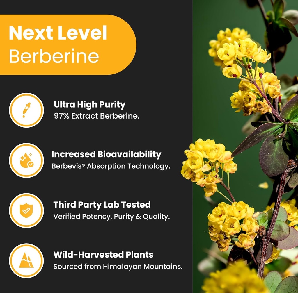 NutraChamps Complete Metabolic & Circulatory Support : Berberine & Nitric Oxide Booster Duo 4