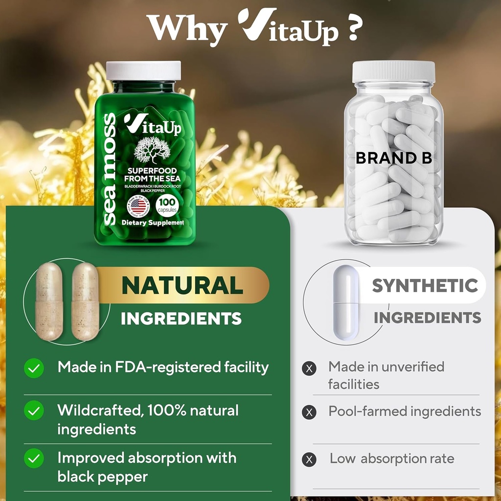 Wildcrafted Irish Sea Moss Capsules with Burdock Root & Bladderwrack - USA Made Sea Moss Advanced for Hair, Skin, Immune & Energy Levels Support - SeaMoss Pills - 100 Vegan Capsules 5