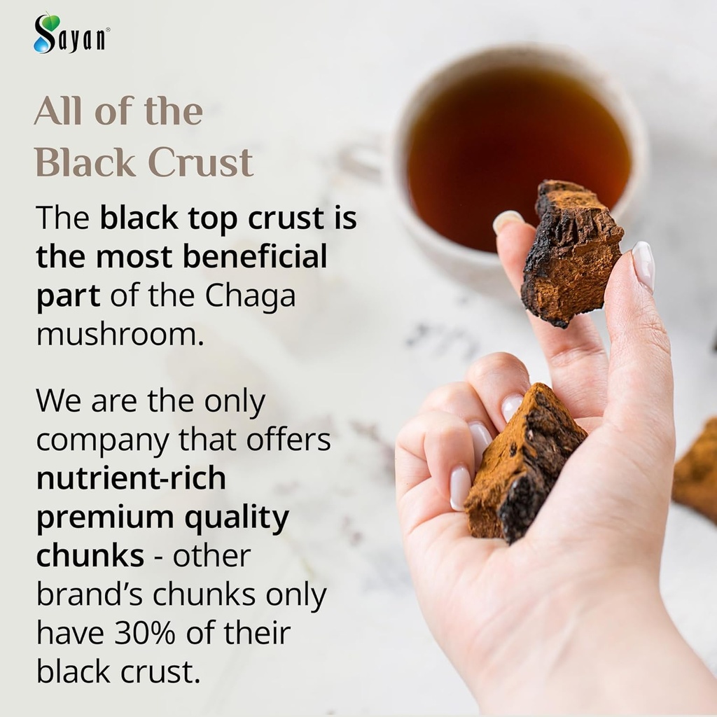 Sayan Siberian Pure Raw Chaga Mushroom Chunks with Black Top Crust 4 Oz / 113 g – Premium Wild-Harvested Antioxidant Tea for Immune Support, Focus and Digestive Health - Non-GMO 3